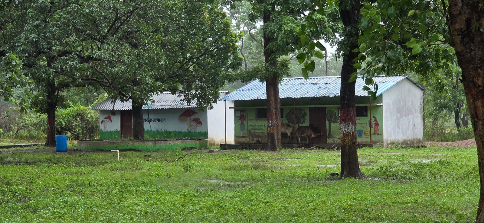 Itpal Center